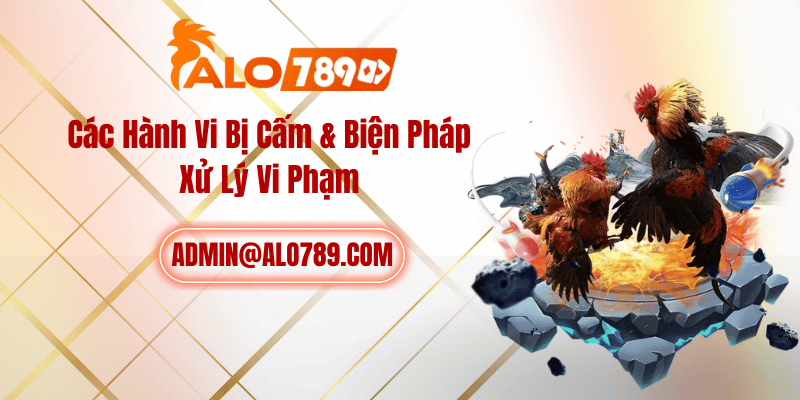 Các Hành Vi Bị Cấm & Biện Pháp Xử Lý Vi Phạm
